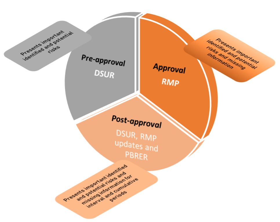 an-overview-of-managing-safety-concerns-in-the-dsurs-rmps-and-pbrers